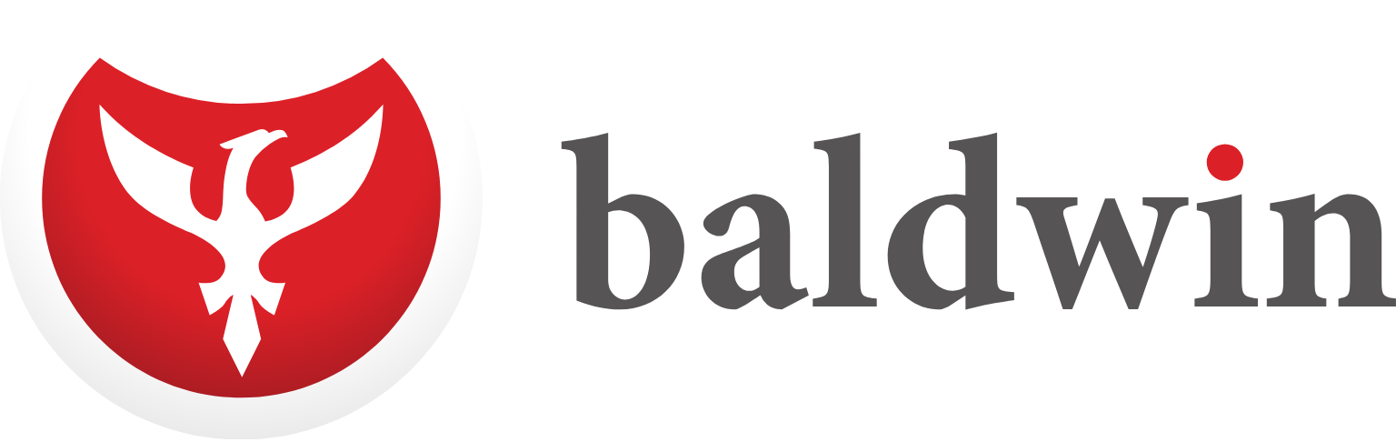 Baldwin WP Demo
